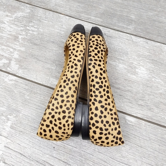 NEW-TROTTERS WM 6 & 7  CHEETAH PRINT LTHR CAP SHOE - Picture 4 of 10